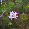 IMG_20210419_061414