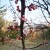 IMG_PITU_20220405_133646