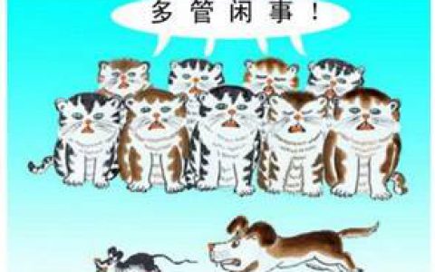 事不关己高高挂起之举报线索兄