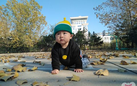 大纯的校园学步.2017职业学院和山大分校