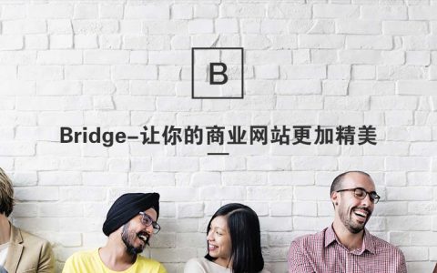 Bridge汉化主题 响应式拖拽编辑的html5响应式网站模板 wordpress主题