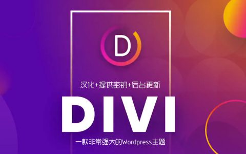 Divi 4.4.3 包含key密匙 WP主题企业中文模板自适应简约科技支持SEO