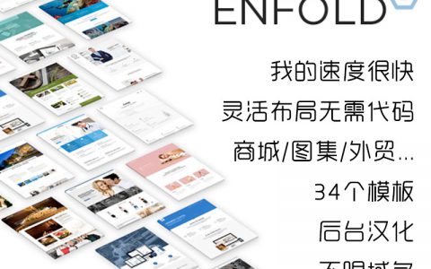 enfold V4.7.6.4 主题汉化 带教程 灵活快速的WordPress主题