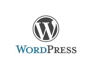 wordpress自动保存远程图片插件DX Auto Save Image 第1张 wordpress自动保存远程图片插件DX Auto Save Image 第1张