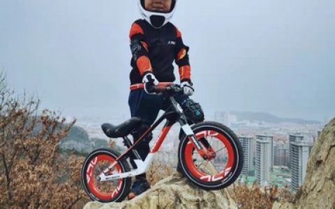 奇异果平衡车登山