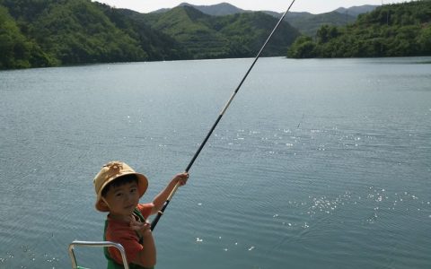 姐姐家钓鱼摘樱桃