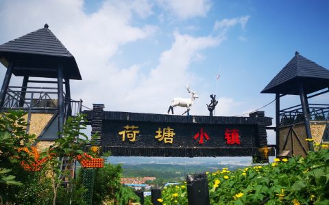 荷塘小镇避暑