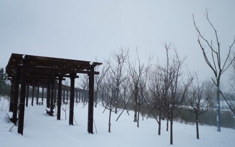 2021年海峰路雪景
