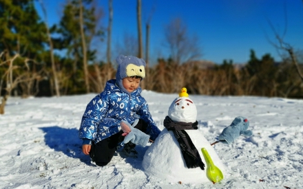 冬雪.落禅