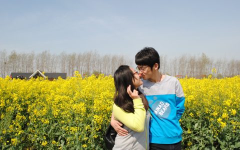 江苏千垛菜花海